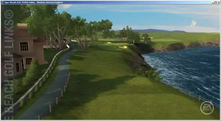 Tiger Woods PGA Tour Online