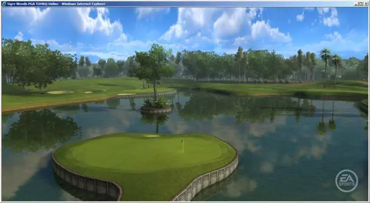 Tiger Woods PGA Tour Online