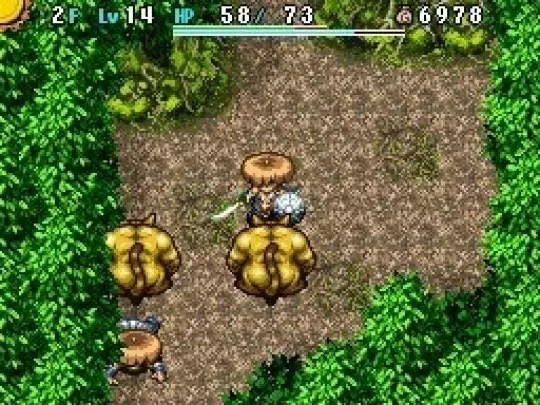 Shiren the Wanderer 4 - DS