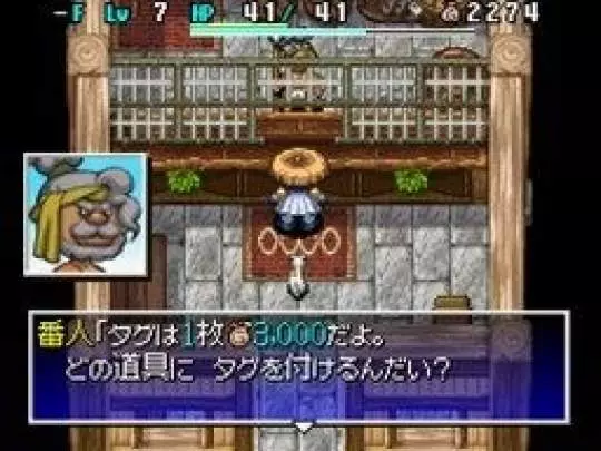 Shiren the Wanderer 4