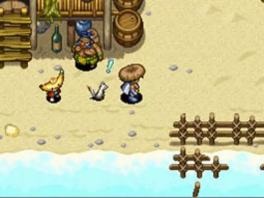 Shiren the Wanderer 4 - DS