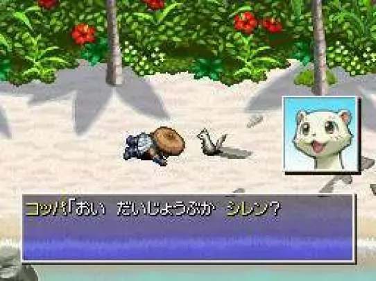 Mystery Dungeon: Shiren the Wanderer 4