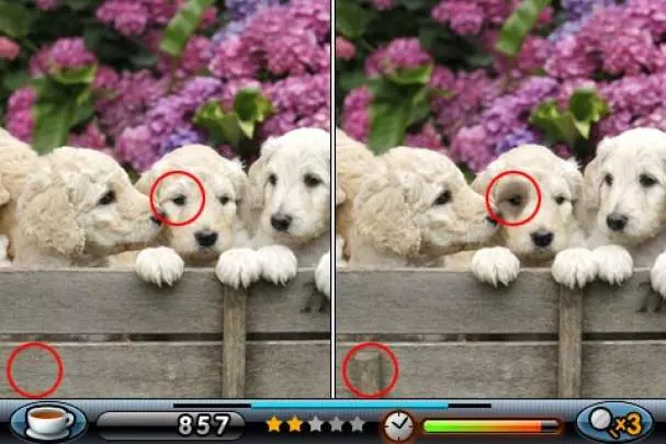 Spot The Differences!