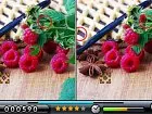 Spot The Differences! - Pantalla