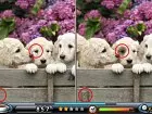 Spot The Differences! - Pantalla