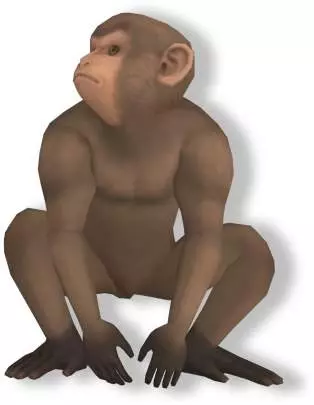 Shootanto: Evolutionary Mayhem!