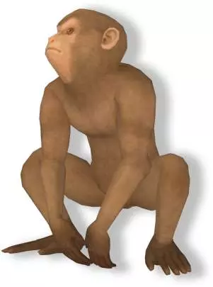 Shootanto Evolutionary Mayhem! - Wii