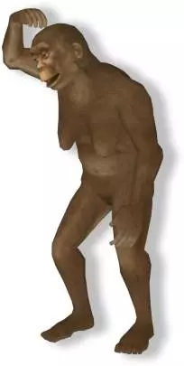 Shootanto Evolutionary Mayhem!