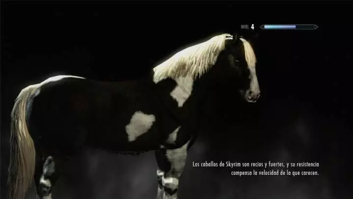 The Elder Scrolls V Skyrim - PC