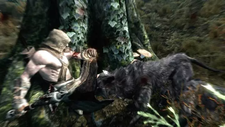 The Elder Scrolls V Skyrim