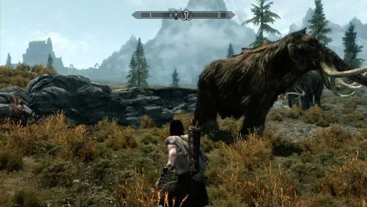 The Elder Scrolls V Skyrim