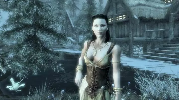 The Elder Scrolls V Skyrim - PC