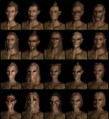 The Elder Scrolls V Skyrim