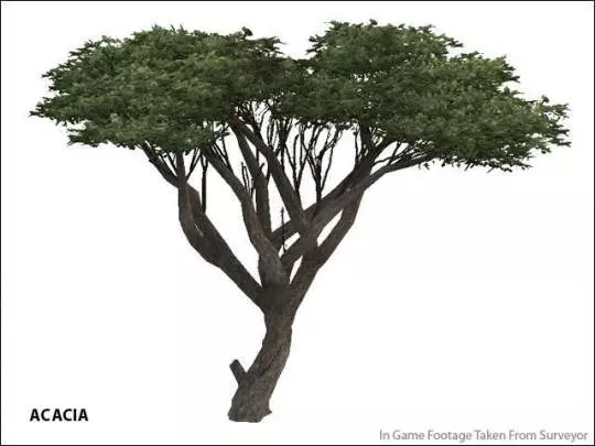 Trainz Simulator 2010