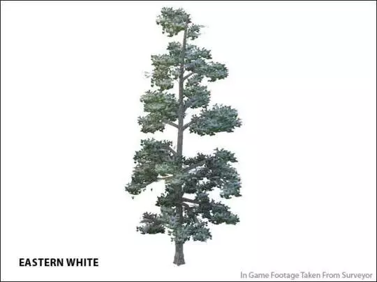 Trainz Simulator 2010