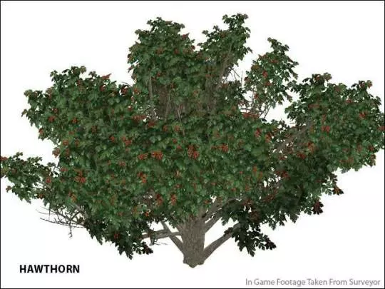 Trainz Simulator 2010