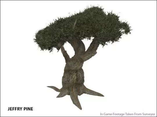 Trainz Simulator 2010 - PC