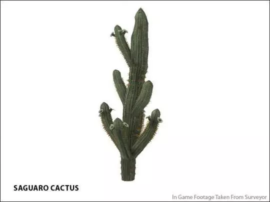 Trainz Simulator 2010