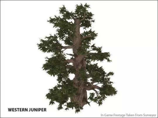 Trainz Simulator 2010