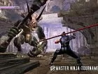 Ninja Gaiden - Imagen
