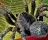Discovery Kids: Spider Quest