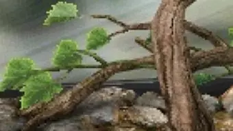 Discovery Kids: Spider Quest