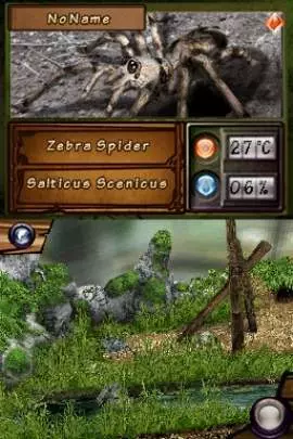 Discovery Kids Spider Quest - DS