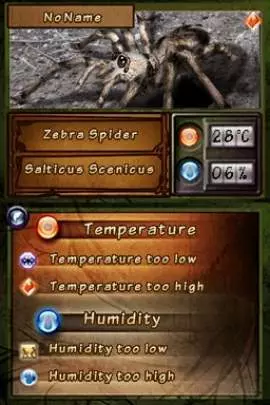 Discovery Kids Spider Quest