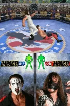 TNA iMPACT! Cross the Line - DS