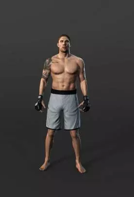 Ultimate Figthing Championship 2010