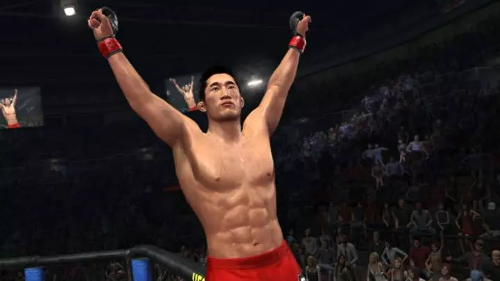 Ultimate Figthing Championship 2010