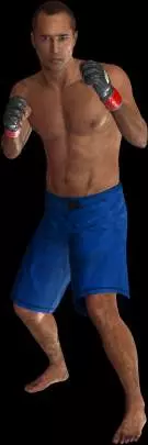 Ultimate Figthing Championship 2010