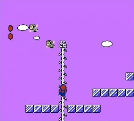 Super Mario Bros 2