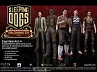 Sleeping Dogs - Pantalla