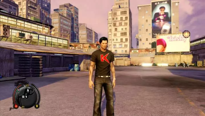 Sleeping Dogs - PC