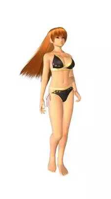 Dead or Alive Paradise