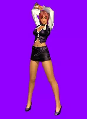 Dead or Alive Paradise