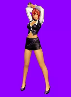 Dead or Alive Paradise