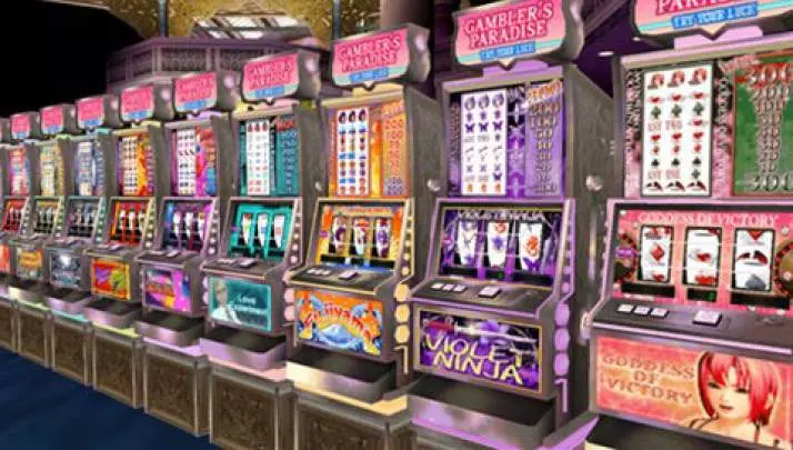 Dead or Alive Paradise