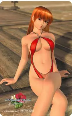 Dead or Alive Paradise