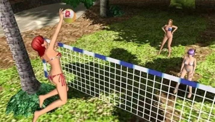 Dead or Alive Paradise