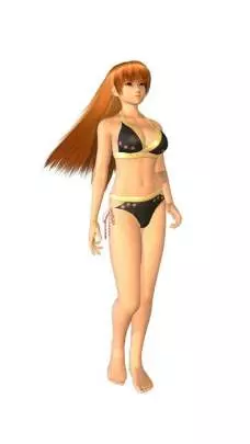 Dead or Alive Paradise