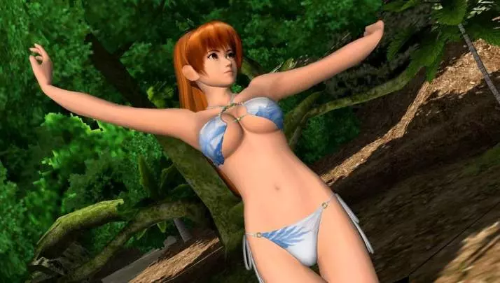 Dead or Alive Paradise