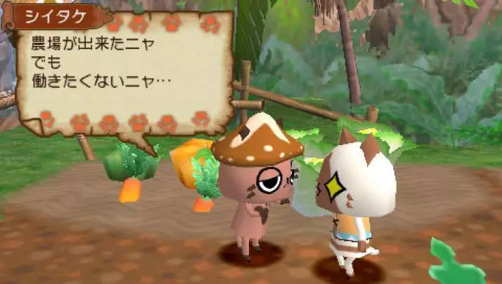 Monster Hunter Diary