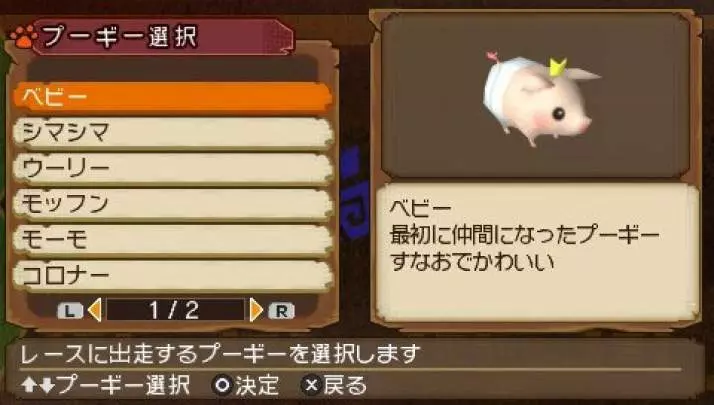 Monster Hunter Diary