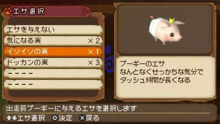 Monster Hunter Diary