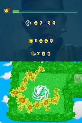 Move your Brain Rollway Puzzle