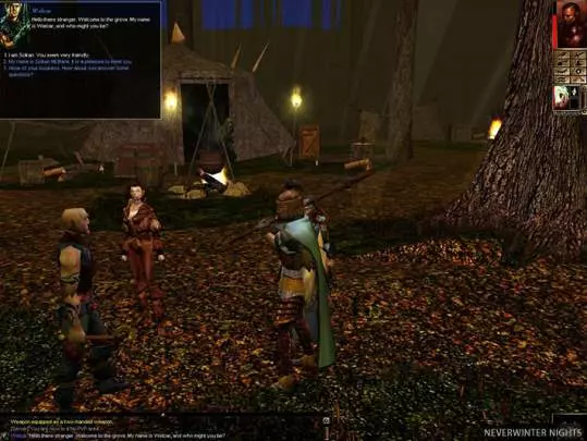 Neverwinter Nights