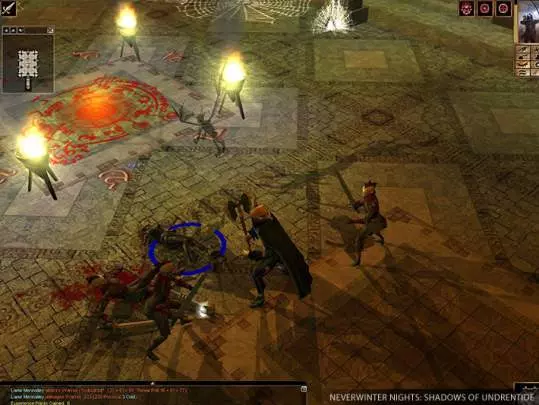 Neverwinter Nights