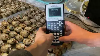 Si alguna vez te has preguntado cuántas patatas se necesitan para correr Doom, aquí tienes la respuesta